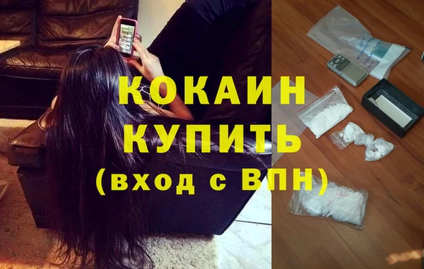 индика Алексеевка